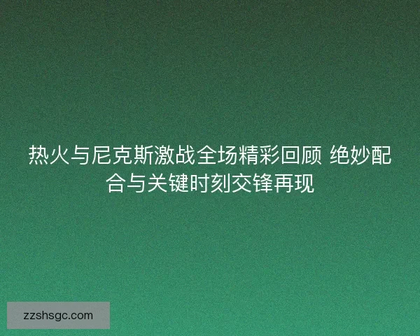 热火与尼克斯激战全场精彩回顾 绝妙配合与关键时刻交锋再现